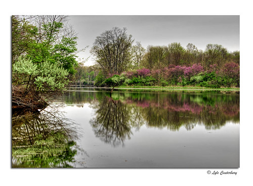 trees red lake reflection water landscape moss spring nikon long exposure cloudy indiana foliage buds d200 nikkor hdr pisgah countryroadsphoto