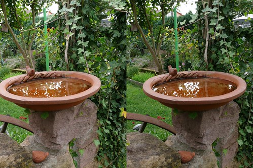 geotagged stereoscopic stereogram stereophotography 3d crosseye crosseyed cross stereo stereoview eyed stereopair geotag crossed stereofotografie stereoptic stereoscope stereoscopy stereophotograph crossview divergent stereographie kreuzblick stereophotomaker