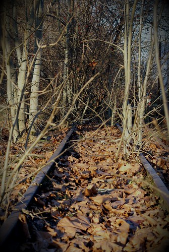 overgrown disused railtrack schöntal