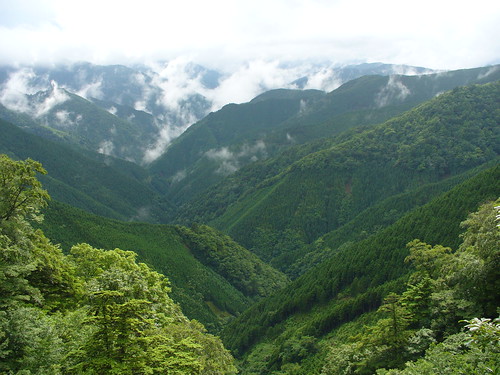 mountain green japan geotagged koyasan 日本 山 緑 wakayama 和歌山 高野山 山地 geo:lat=3408021897209737 geo:lon=1355422192811966