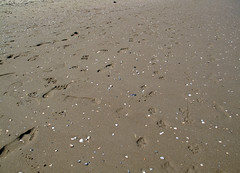 Footprints on Texel Beach