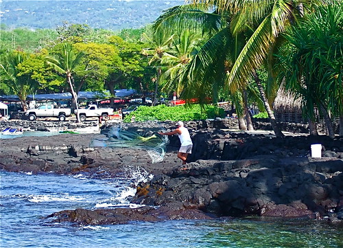 hawaii fishing bigisland casting twostep puuhonuaohonaunau placeofrefuge honaunau shoredive