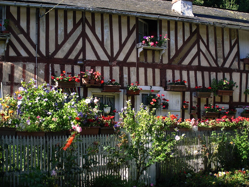 flowers house france fleurs geotagged europe village cottage eu normandie maison normandy paysdauge calvados halftimbered colombages pandebois cambremer abigfave colorphotoaward coloursplosion geo:lon=0045662 geo:lat=49151328 michelemp