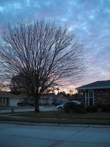 winter light sunset color weather clouds evening louisiana