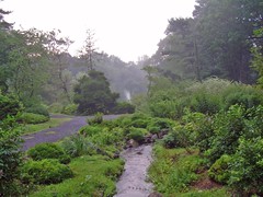 Laurelwood Arboretum