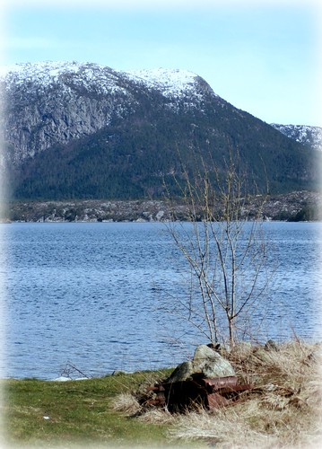 blue norway canon landscape norge fjord tamron fjords rogaland landskap skjold tamron70300 canoneos30d vindafjord haugalandet platinumheartaward yourcountry skjoldafjorden bjergafjell isvik skjoldafjord