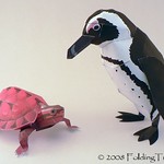 paper models: penguin & turtle