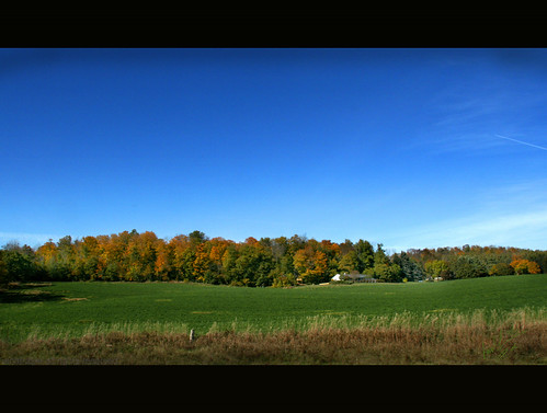 trees sky ontario canada field grass canon woods sigma driveby kitchener wooded coutryside canon400d aplusphoto sigma18200dcos