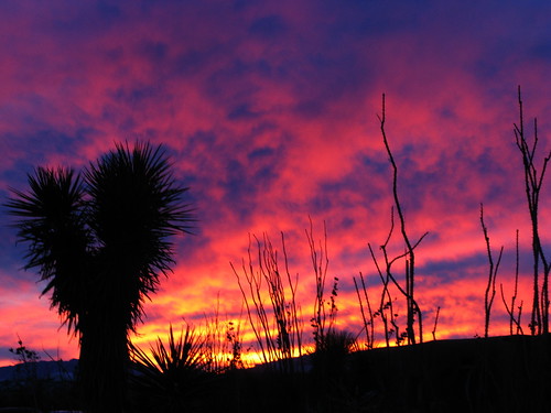 sunset newmexico geotagged dusk southwestus yucca nationalmonument whitesandsnationalmonument geo:lat=32779517 geo:lon=106171741 christmas08weekendroadtrip