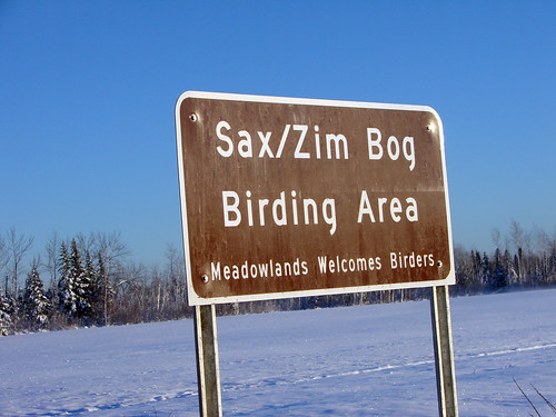 Great birding spot, or the greatest birding spot?