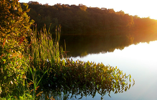 sunset pond connecticut horsepond aquaticvegetation courtnayjaniak
