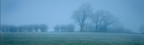uk inglaterra trees england mist ice field fog frost dusk branches yorkshire arbres angleterre yorkshiredales