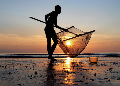 sunset mer beach fishing shrimp plage crevettes coucherdesoleil picardie pêche crevette quend pêcheàlacrevette