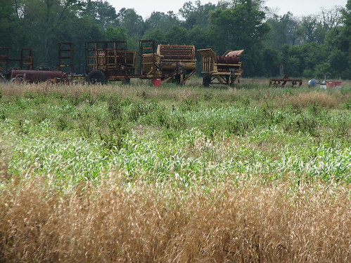 field grass crop farm equipment pointe coupee pointcoupee louisiana tjean314 2008 johnhanley public allphotoscopy20052017johnhanleyallrightsreservedcontactforpermissiontouse