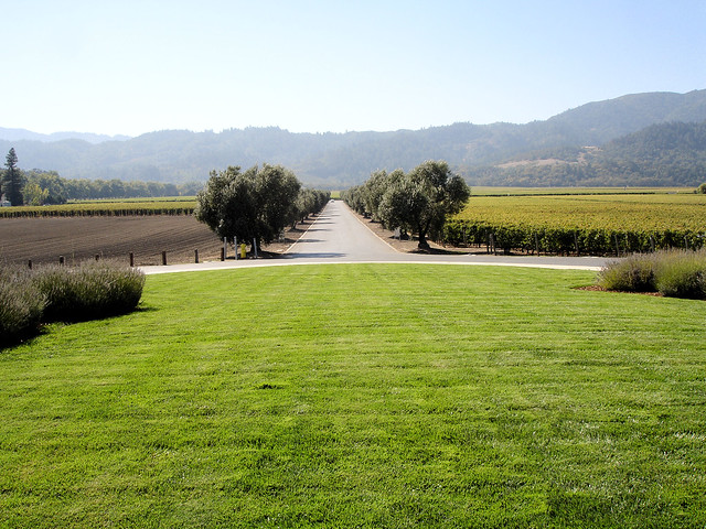 DSC02927, Opus One, Napa Valley, California, USA
