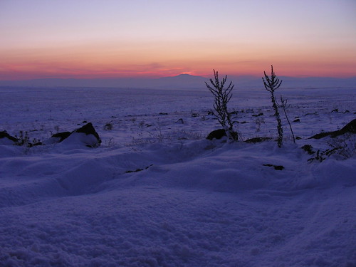 winter sunset cold nature turkey dead nikon mort fox s4 kemer kayseri günbatımı soğuk kış doğa ölü
