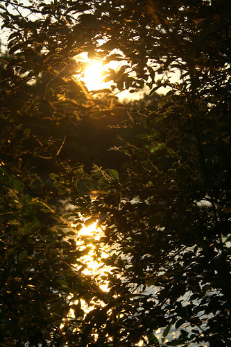 sunset reflection sc southcarolina ashleyriver summerville romans83839 montwerx mdggraphix mdggraphixnet