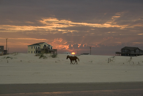 sunset horse outerbanks