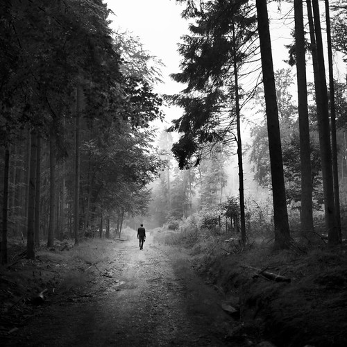 man fog forest dark square blackwhite eery fullsize