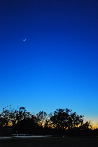 blue trees sunset sky nikon louisiana lafayette horizon 2008 crescentmoon d60 0356 cmwdblue