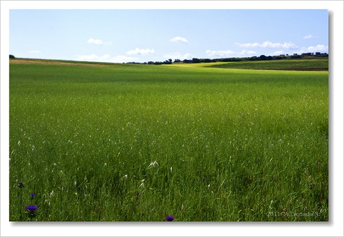 azul spain country cielo calatrava campo cosecha prado ciudadreal