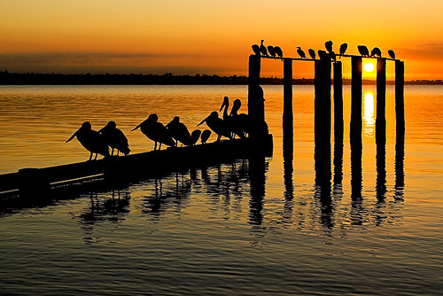 travel tourism beach darren sunrise photography photographer stones australian australia melbourne pelican victoria photograph writer beaumaris journalist freelance photojournalist dstones photojour