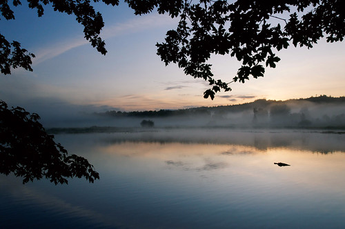 mist lake reflection fog sunrise searchthebest scenic wa soe clearview supershot platinumphoto untiedstatesofamerica