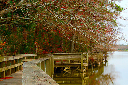 autumn trees fall nature water river dock texas branches houston boardwalk cypress kingwood easttexas sanjacintoriver kingwoodtexas rivergrovepark