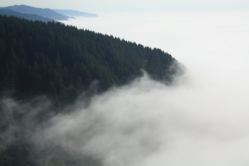 fog coast view or foggy scenic pacificocean coastline oregoncoast pacificcoast capeperpetua newportoregon