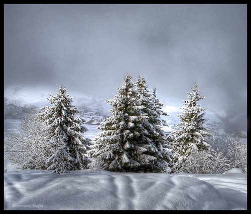 trees winter cloud sun white mountain holiday snow ski france mountains nature clouds forest landscape geotagged photography photo interestingness hiver canon5d neige silvermedal hdr 2470l megeve potofgold photomatix tonemapping tonemap 3hdr singlerawhdr aplusphoto favemegroup4 francelandscapes theunforgettablepictures 100commentgroup vosplusbellesphotos geo:lat=45856441 geo:lon=661628