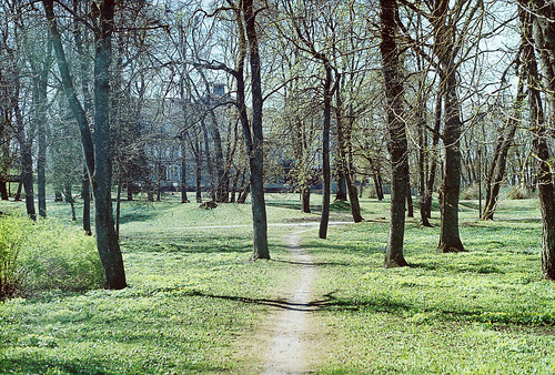 park green film analog 35mm spring estonia path zenit eesti zenitet