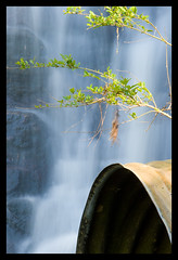 Lullwater Waterfall
