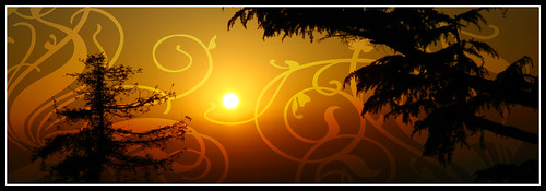 flowers sunset red sky sun photoshop gold tramonto artistic expression patterns catching gradient catch sole rosso blueribbonwinner sfumatura anawesomeshot