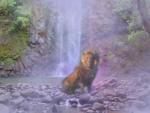 wallpaper waterfall lion cgi