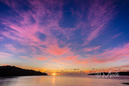 morning sunset newzealand sky sunrise auckland tranquilscene vibrantcolor kauwau ovcean tawharanuipeninsula