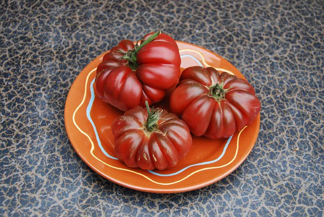 tomaten 002