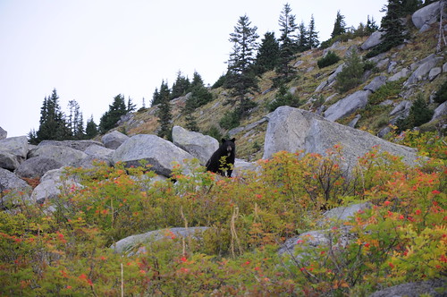 bear sunrise washington hiking hike i90 blackbear granitemountain dawnpatrol exit47