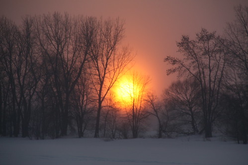 winter sunset snow canada canon rebel soleil hiver coucher sigma québec neige arbre xsi 18200mm 450d iledupas