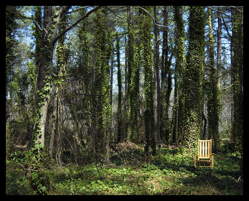 concept virgina kenshellerpanopticonrockingchair countrylifetreessummer springwoodstilllifevirgina