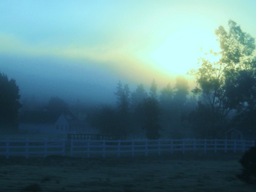 california blue trees sky sun house mist tree leaves sunshine silhouette northerncalifornia misty fog sunrise fence farm branches foggy evergreen norcal middletown hiddenvalley lakecounty hiddenvalleylake danwatsonphotography nothingsignified