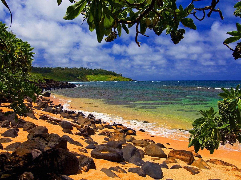 Beach Shade, Moloaa, Kauai, Hawaii