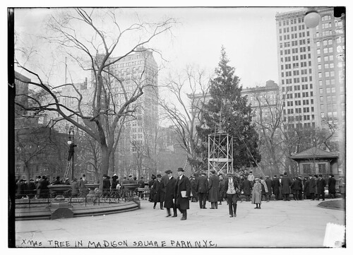 Xmas tree in Madison Sq. Park, N.Y.C. (LOC)