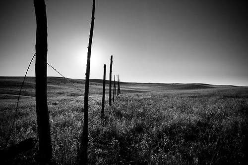 sun grass silhouette southdakota fence post indian plains reservation pineridge oglalalakota
