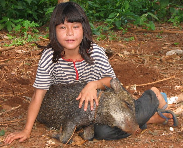 Ache girl, pet wild pig: Canindeyu, Paraguay - a photo on Flickriver