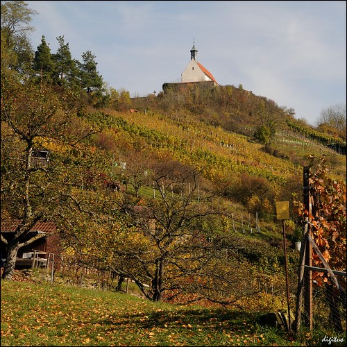 autumn geotagged vineyard herbst chapel explore nikkor tuebingen weinberg kapelle d300 explored wurmlingen geo:lat=4850606 1685mmf3556gvr 1685vr geo:lon=898017