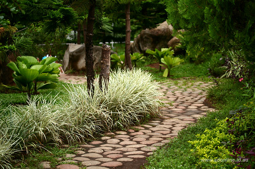 park city plants plant garden landscape pagoda gardening philippines reserve peoplespark steppingstone davao pavillion pilipinas mindanao halaman davaocity dabaw lungsod halamanan lungsodngdabaw maghalaman