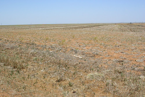 field scenery texas treeless