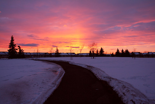 park sunset snow outdoors path