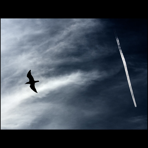 blue sky cloud bird plane contrail deep diamondclassphotographer megashot pbhp
