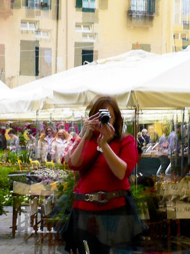 italy flower reflection market lucca tuscany piazzaanfiteatro